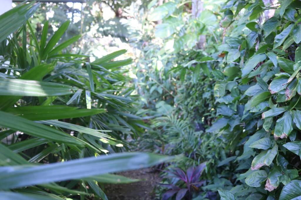 Villa Beauty Tiny Walk To Sea Port Douglas Exterior foto