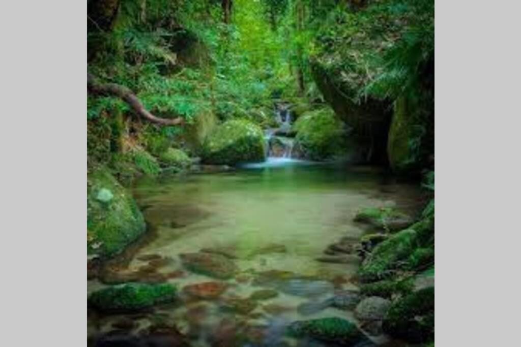 Villa Beauty Tiny Walk To Sea Port Douglas Exterior foto