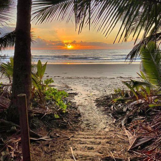 Villa Beauty Tiny Walk To Sea Port Douglas Exterior foto